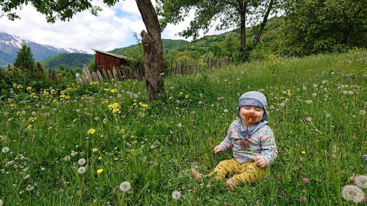 Village House Mestia Dış mekan fotoğraf