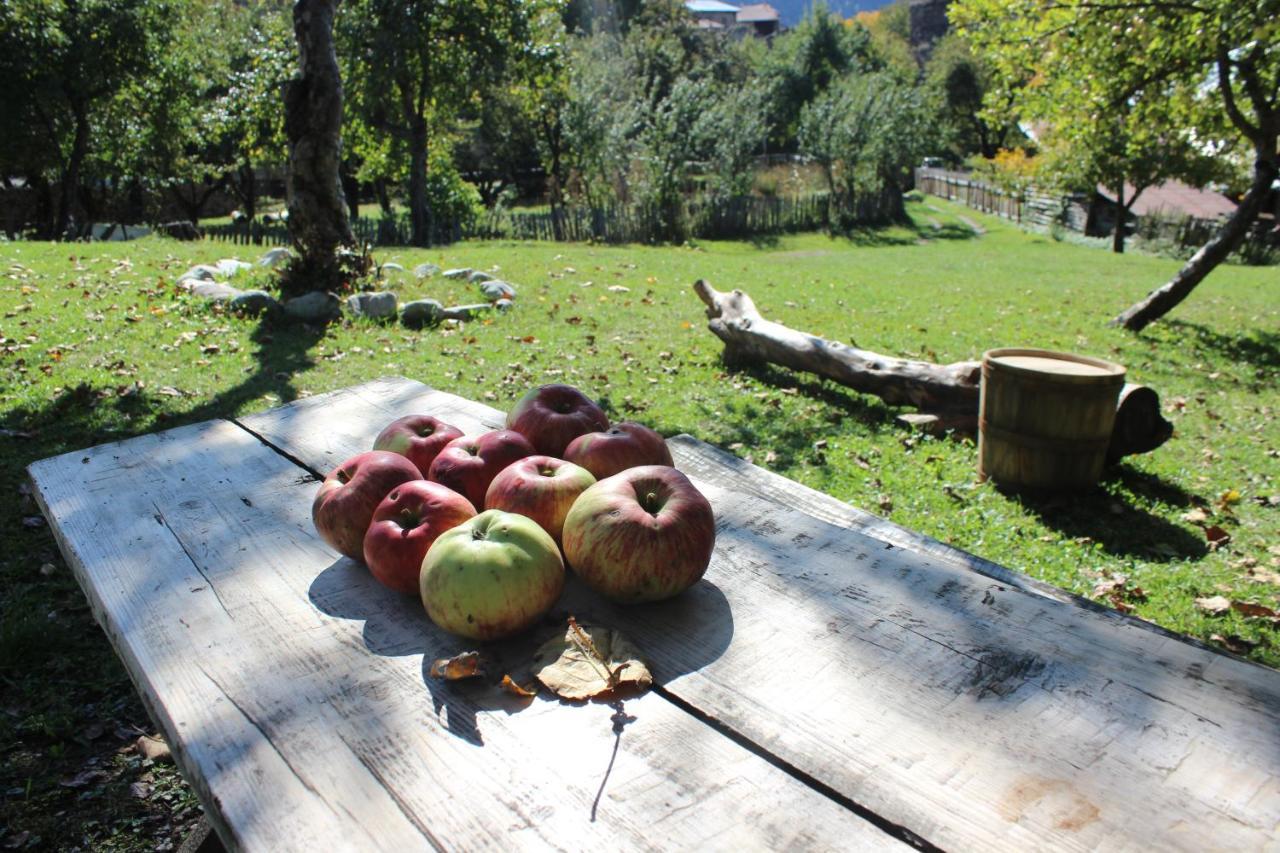 Village House Mestia Dış mekan fotoğraf